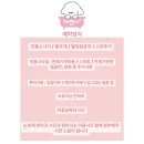 버블리 | 꼼꼼하고 섬세한 손길! 마산 댓거리 애견미용실 버블리