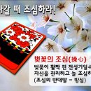 광 Daum카페