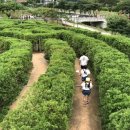 미로파크 이미지