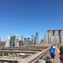 브루클린 이미지