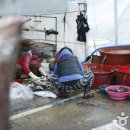 외포초교 뒤 이미지