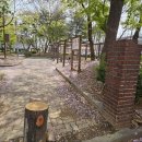 영등동-57 이미지