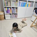 엘림상사 | 11월 셋째주 바다맘 일상_콩쿨 다이소크리스마스템 미리크레스마스 노스페이스키즈