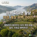 양평군 환경사업소 | 양평 자하연 팔당 (구 팔당공원 묘원) 이장 개장 후기
