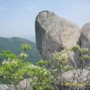 가고파 노래연습장 이미지