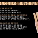 엘씨엠 Daum카페