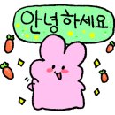 더마인뷰티 이미지
