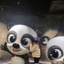 아미바오 이미지
