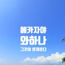 에카픽(주) | 길리갈 때 에카자야, 와하나(오하나) 뭐 타지? 다 타본 제가 정리해드림 (나만의 꿀팁 대방출)