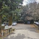 돈내코 | 제주한달살기｜돈내코 계곡 다녀온 후기 (돈내코 원앙폭포, 돈내코 유원지)