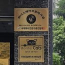 살롱블롱디캣츠 네이버블로그