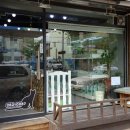 개밥주는고양이 이미지