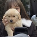 너의봄,헤어