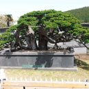 제주아트랜드 이미지