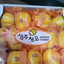 가족팬션 오늘 이미지