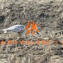 특별한-休 이미지