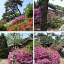 우화정(조응식가옥)