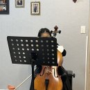 첼로(야간) 이미지