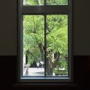 일리키독 | 진짜 여름이 왔다