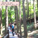 오감연결길 이미지