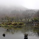 절물자연휴양림 이미지