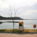 당나루물꽃승마마을영농조합 이미지