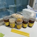 6월 둘째주 사진일기