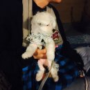 와일드 동물병원 이미지