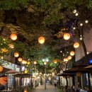 보정동 카페거리 이미지