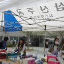 YWCA삼산종합사회복지관 Daum카페