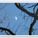 모전목장 이미지