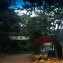 백번농장 이미지