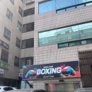 심재복싱 이미지