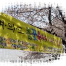 2009.04.10(금) 여의도 벚꽃구경...'카페 크리스마스'에서~ 이미지