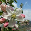 홍은농장 이미지