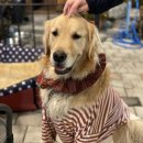 뚜레박장어구이 이미지