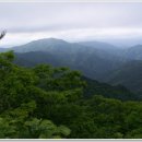 [봉화지맥 2]솔개밭목이봉-청옥산-깃대배기봉-백천계곡 이미지