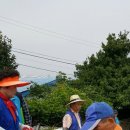 봉래2동-6 이미지