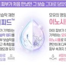 더블스킨 이미지