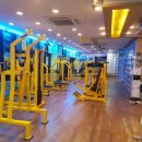 LEO GYM 이미지
