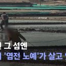 어기 이미지