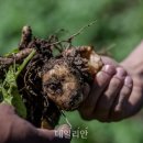 수경축산 이미지