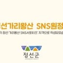 와와정선 2층 투어버스 네이버블로그