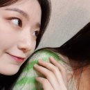 슈슈 - 중구 달성로 18 | 슈슈