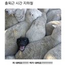 세번째 계절 네이버블로그