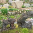 1004섬수석미술관 이미지