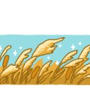 포비 펫 살롱 이미지