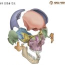 별의별초밥