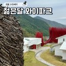 영월 젊은달 와이파크, 입장료 할인 꿀팁과 포토존 둘러보기