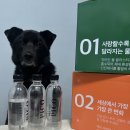 바오펫 | 너즐퍼즐 &#34;피코 펫워터&#34;
